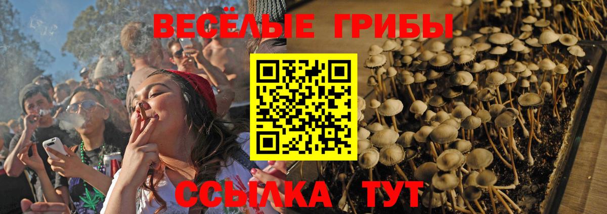 Галлюциногенные грибы ЛСД  Вход с VPN  Ярцево  Галлюциногенные грибы мухоморы 
